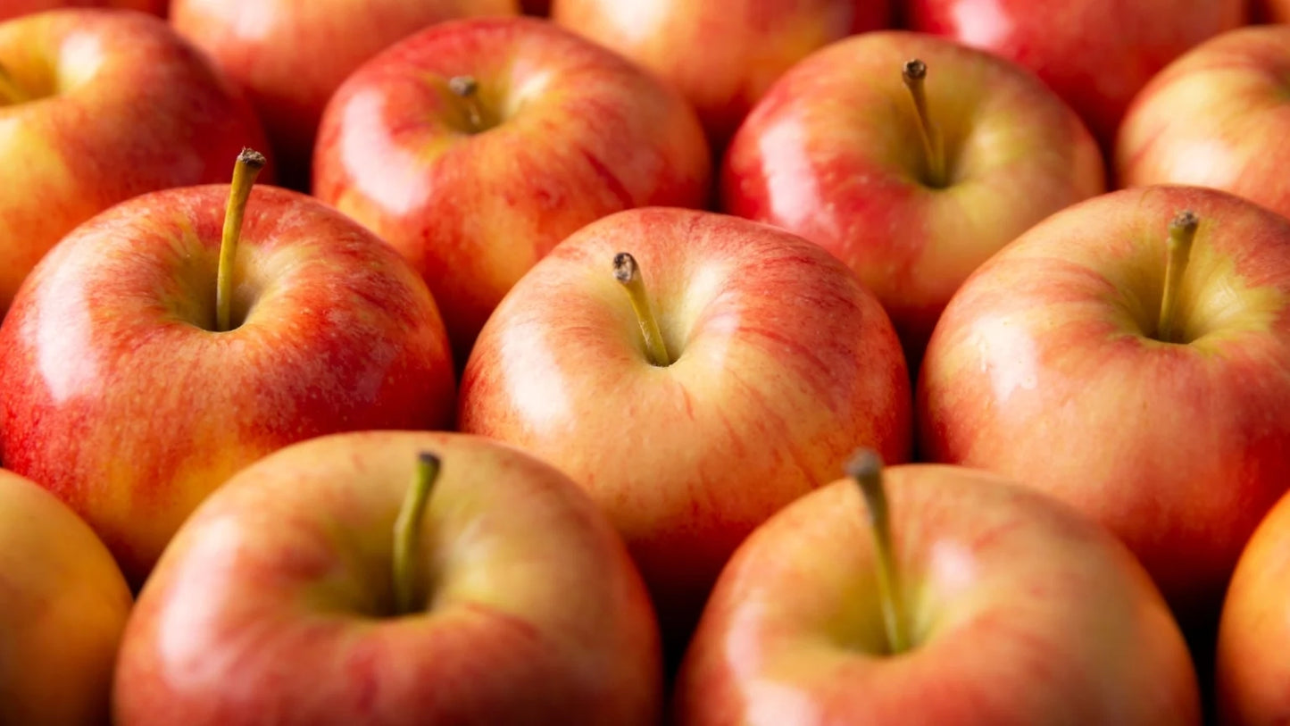 Apples - Gala 125ct