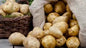 Potatoes - Baking -80ct