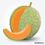 Cantaloupe