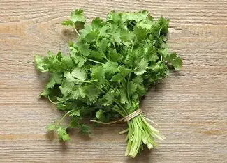 Cilantro - Fresh - bunch