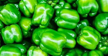 Peppers - Green Bell - Each