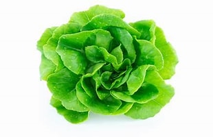 Lettuce - Green Leaf