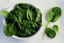 Spinach - Baby 4#