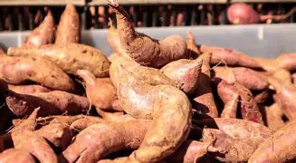Yams - Sweet 75ct
